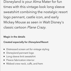 walt disney world pennant sweatshirt